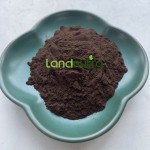 圣约翰草提取物生产厂家-98%提取物粉末