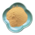 Green Coffee Bean Extract Factory - 100% Pure Powder