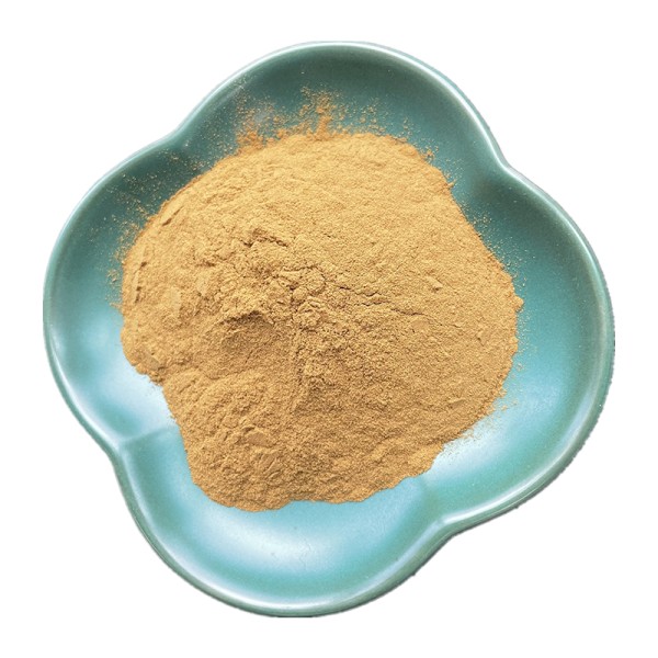Green Coffee Bean Extract Factory - 100% Pure Powder