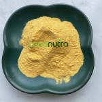 姜黄素脂质体粉末供应商-10% 50%姜黄