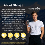 Shilajit软糖供应商-有机树脂能量