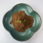 灵芝蘑菇提取物生产厂家-30%-50%多糖