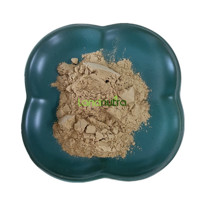 Cistanche Tubulosa Extract Supplier - HPLC Tested