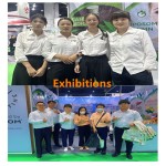 5-HTP Powder Supplier - Griffonia Simplicifolia Bulk