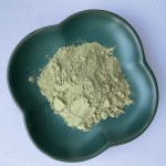 Avocado Extract Powder Factory - Soluble Fruit Powder