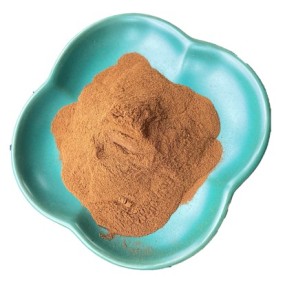 Oyster Mushroom Extract Factory - Organic Health Support