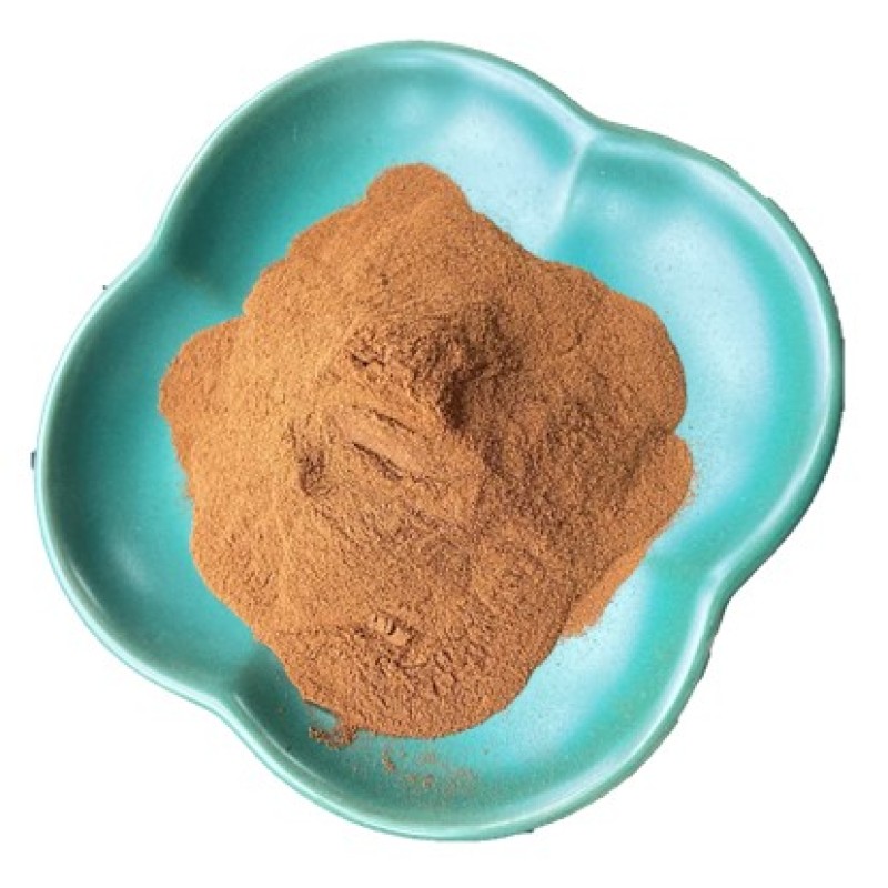 Oyster Mushroom Extract Factory - Organic Health Support