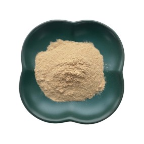 Tongkat Ali Extract Factory - 200:1 100:1 Root Powder