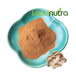 平菇提取物工厂-有机健康支持