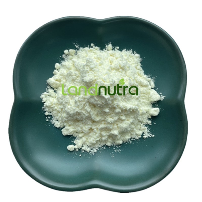 Broccoli Seed Extract Supplier - 1% Sulforaphane Powder