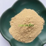 东革阿里提取物工厂-200:1 100:1根粉末