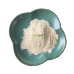 灵芝香菇提取物供应商-三萜多糖