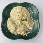 Hydrolyzed Soy Protein Supplier - Water Soluble Powder