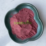 White Mulberry Extract Factory - Anthocyanin Cosmetic
