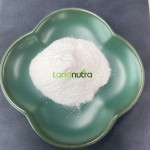 L-5-MTHF Calcium Powder Factory - CAS 151533-22-1