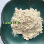 Mung Bean Protein Powder Supplier - 100% Organic