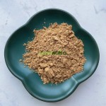 胡迪亚仙人掌提取物供应商-20:1仙人掌茎