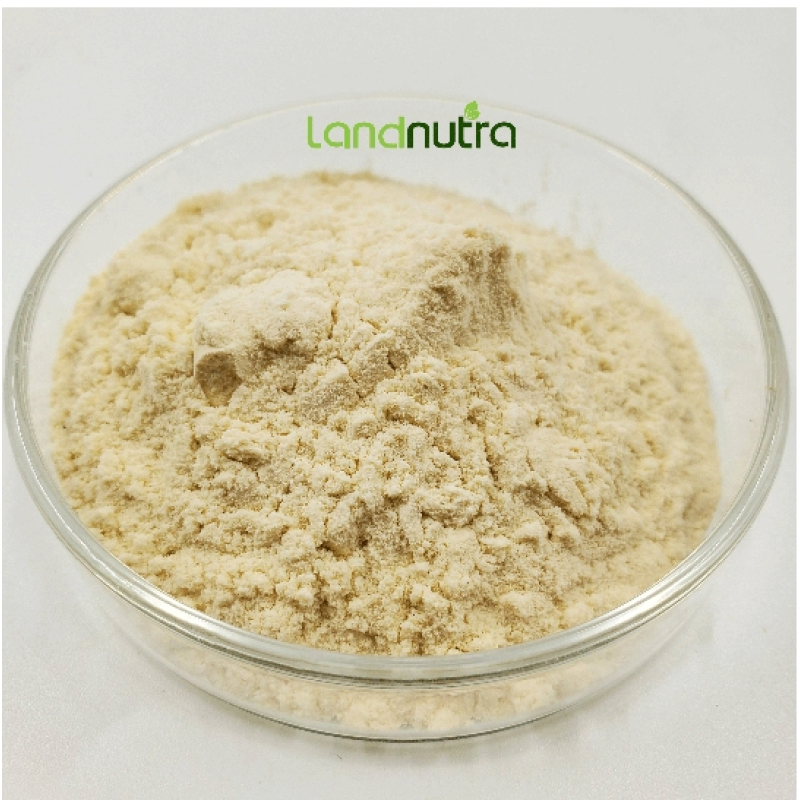 Urolithin A Supplement Factory - 99% Liposomal Capsule