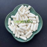 5-HTP Supplement Supplier - Griffonia Simplicifolia Extract