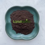 圣约翰草提取物生产厂家-98%提取物粉末