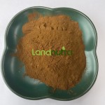 Ashwagandha Extract Supplier - 2.5% Withanolides Powder