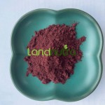 虾青素粉末工厂-1% 5%雨生红球藻