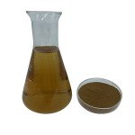 香菇提取物生产厂家-30%β葡聚糖