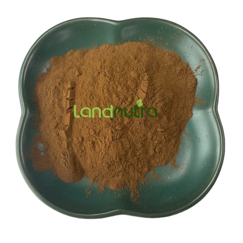 Ashwagandha Extract Supplier - 2.5% Withanolides Powder
