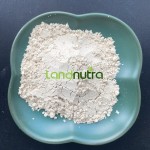 白藜芦醇粉末工厂-50% 98%葡萄皮提取物