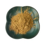 枳椇提取物供应商-大枣提取物风味