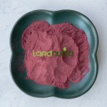 White Mulberry Extract Factory - Anthocyanin Cosmetic