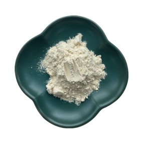 Spermidine Powder Supplier - Wheat Germ Extract