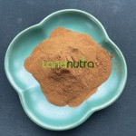 Valerian Root Extract Factory - Sleep Herbal Supplement