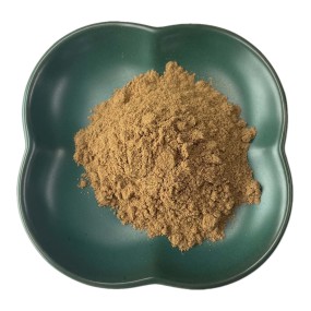 Houttuynia Cordata Extract Supplier - 10:1 Herb Powder