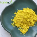 小檗碱粉末工厂-99%脂质体补充剂
