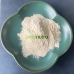 Garlic Extract Powder Supplier - CAS 539-86-6 Dehydrated