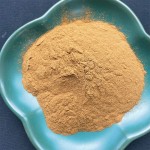 Green Coffee Bean Extract Factory - 100% Pure Powder