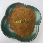 Ashwagandha Extract Supplier - 2.5% Withanolides Powder