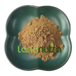 Kanna Extract Powder Manufacturer - Pure Natural