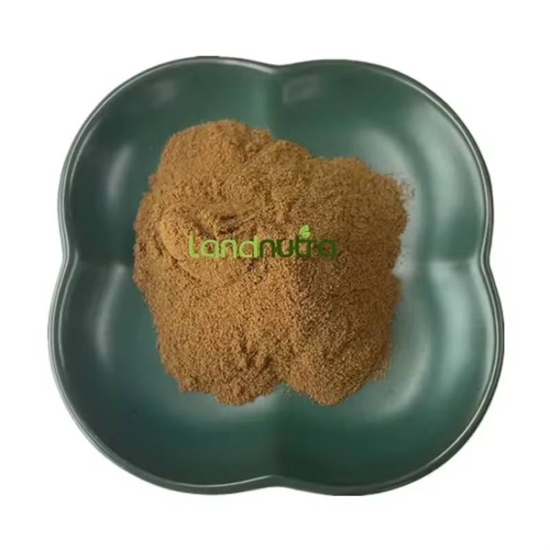 Kanna Extract Powder Supplier - 100:1 5% Herb Extract