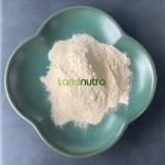 灵芝香菇提取物供应商-三萜多糖