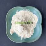 Fish Collagen Peptide Supplier - Hydrolyzed Tilapia Skin