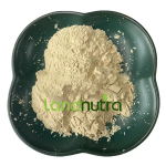 Aconite Extract Factory - Aconite Seed Extract Powder
