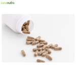 淫羊藿叶提取物供应商-5%淫羊藿苷粉末