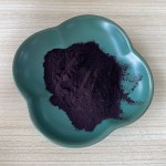 Bilberry Extract Factory - 25% Anthocyanin Powder