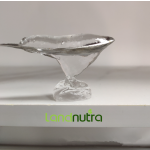 Carbopol 940 Powder Manufacturer - Cosmetic Grade