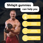 Shilajit软糖供应商-有机树脂能量