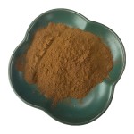 Ashwagandha Extract Supplier - 2.5% Withanolides Powder