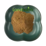 Kanna Extract Powder Manufacturer - Pure Natural