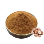 香菇提取物生产厂家-30%β葡聚糖